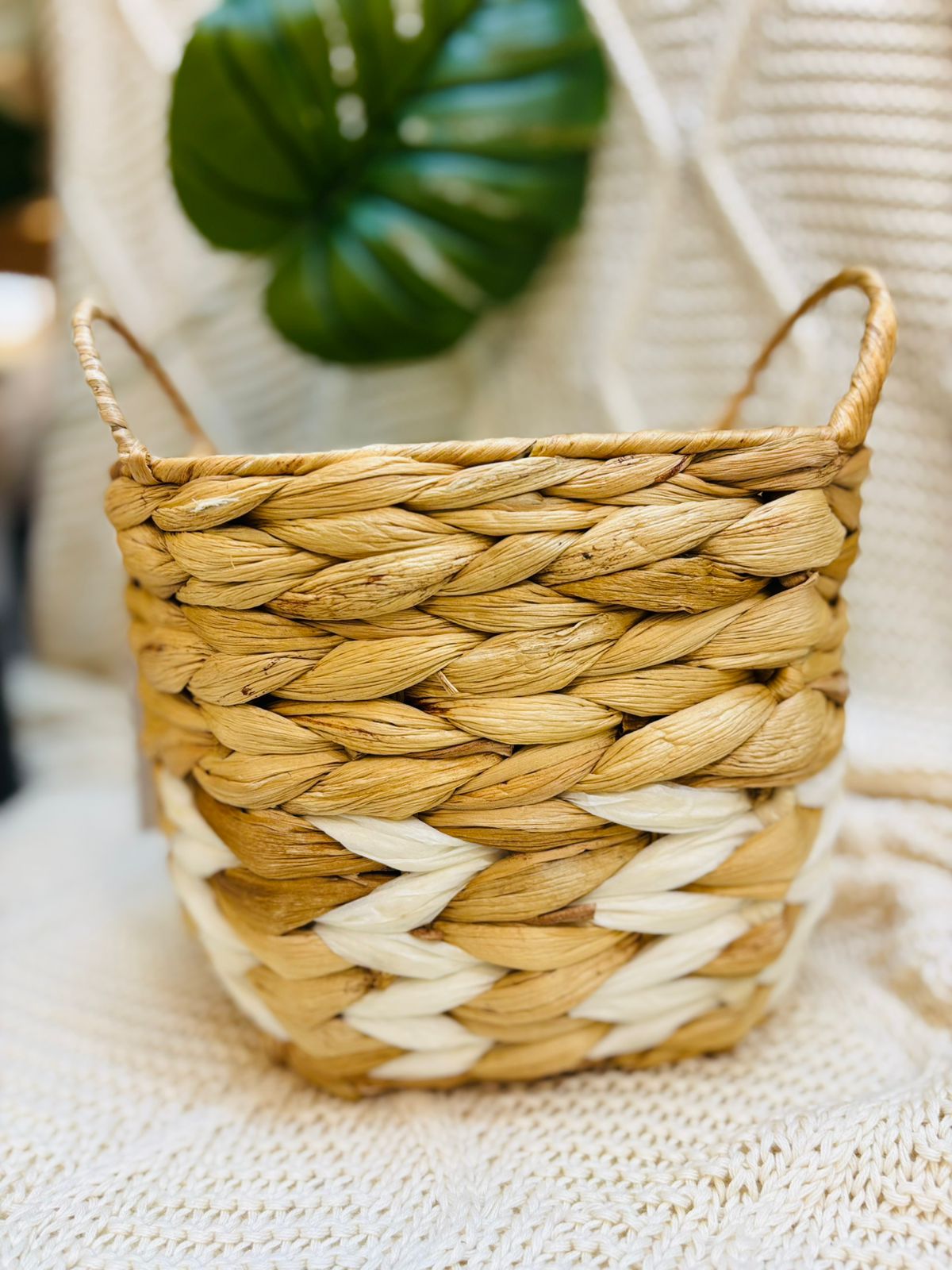 Canasto Fibras de Banano