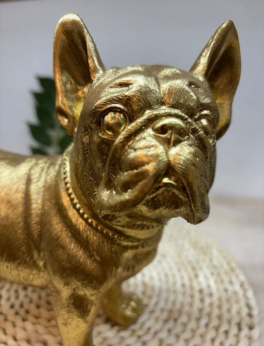 Bulldog Decorativo