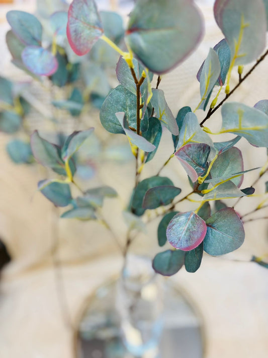 Vara Eucalipto Verde