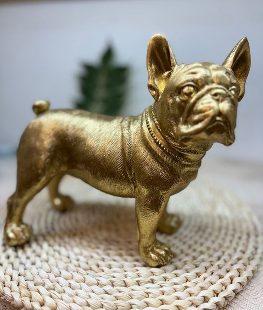 Bulldog Decorativo