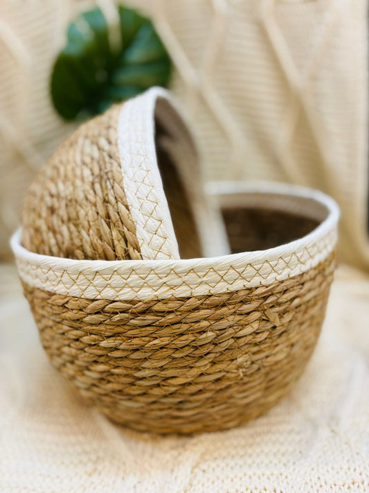 Canasto Fibras Naturales