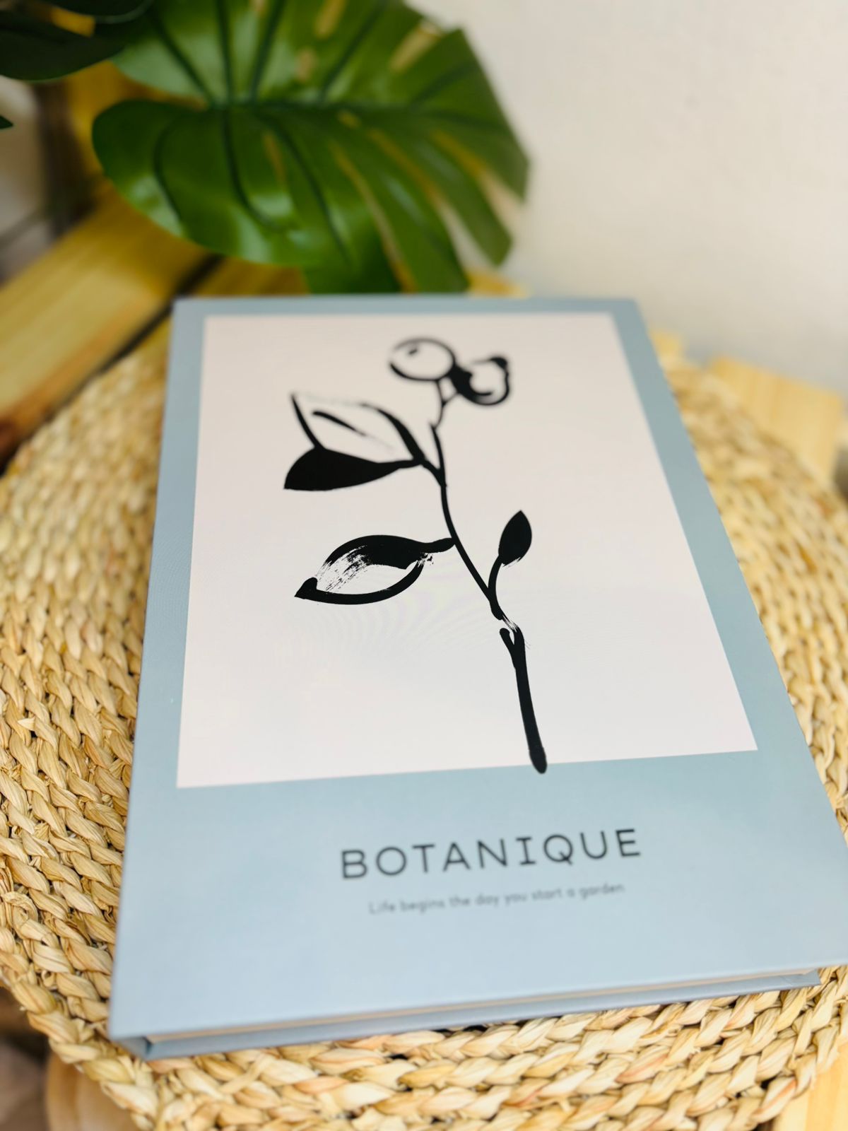 Caja Libro Decorativo